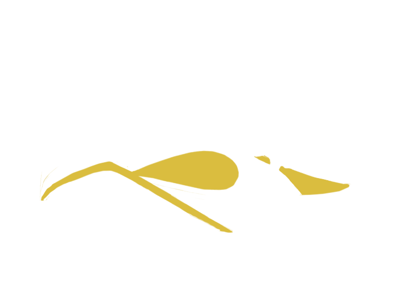 CANARY LEATHER