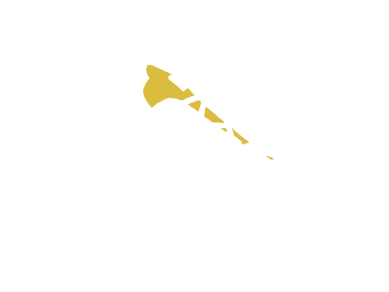 CANARY LEATHER