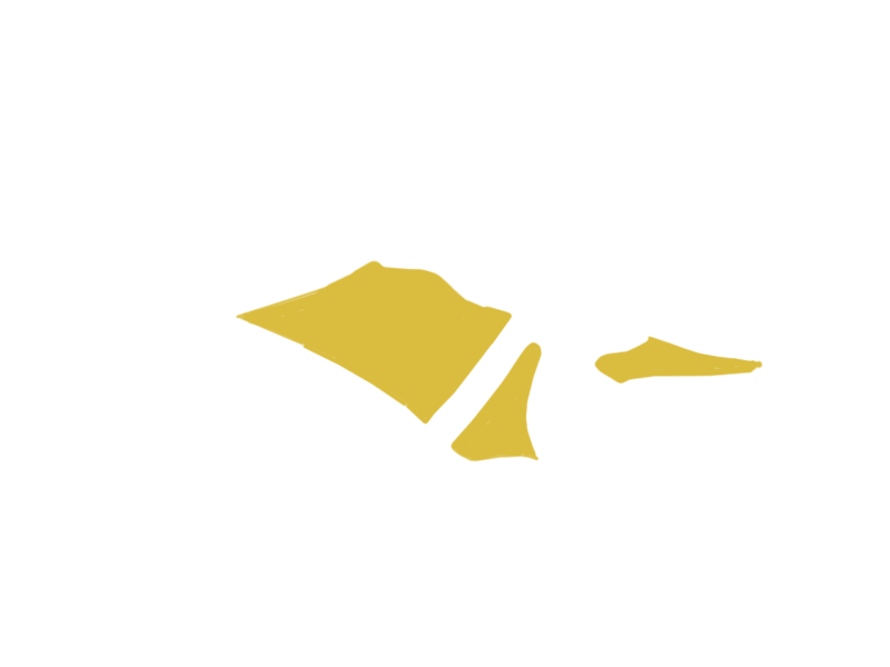 CANARY LEATHER