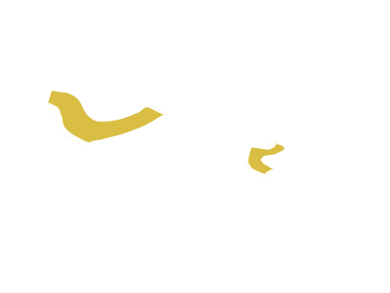 CANARY LEATHER
