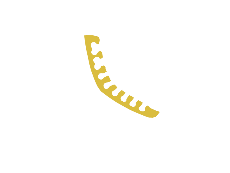 CANARY LEATHER