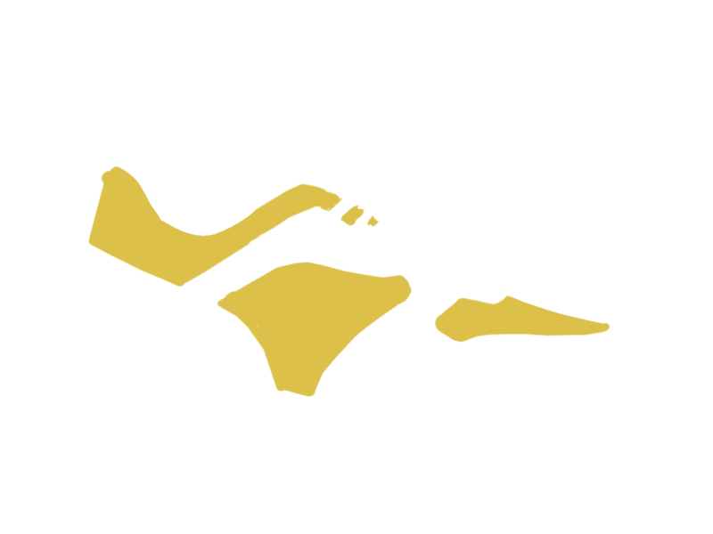CANARY LEATHER
