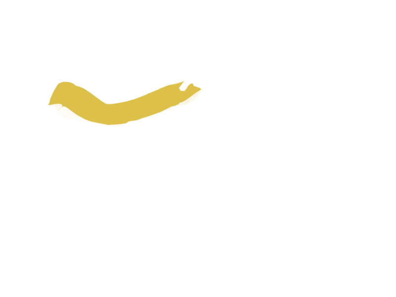 CANARY LEATHER