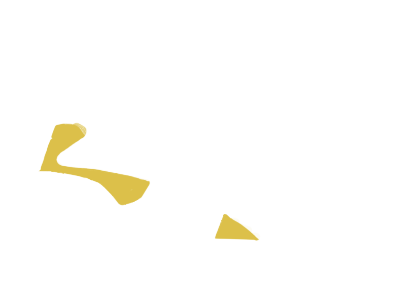 CANARY LEATHER