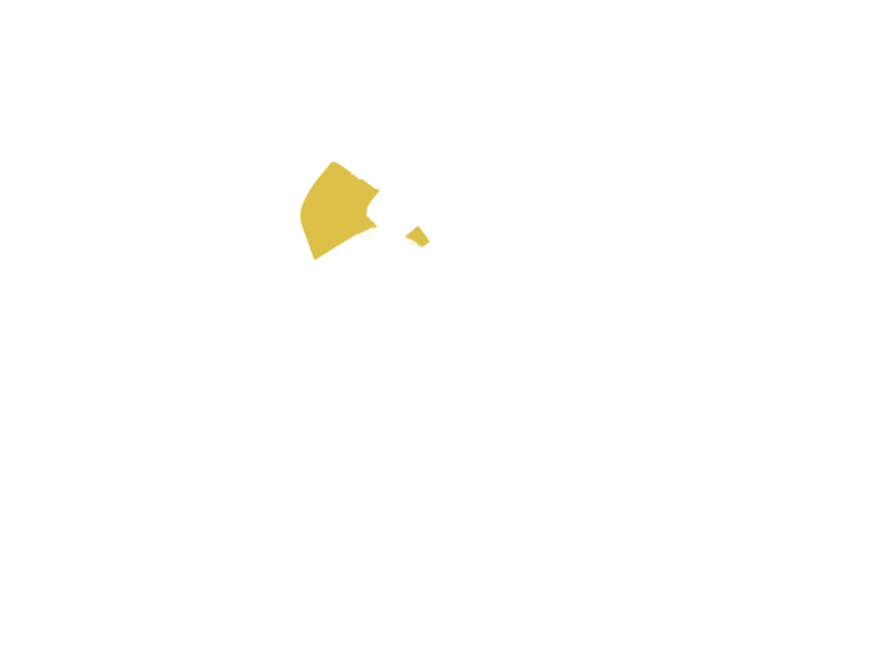 CANARY LEATHER