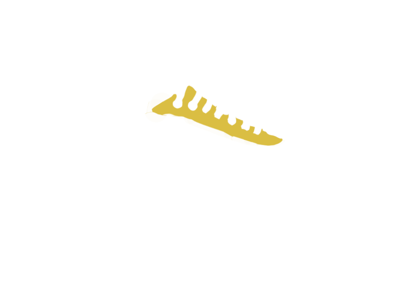 CANARY LEATHER