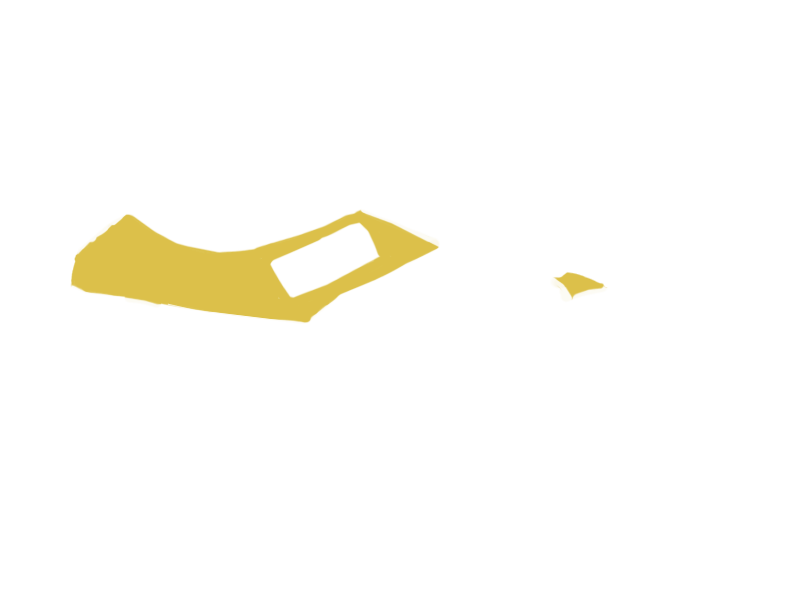 CANARY LEATHER