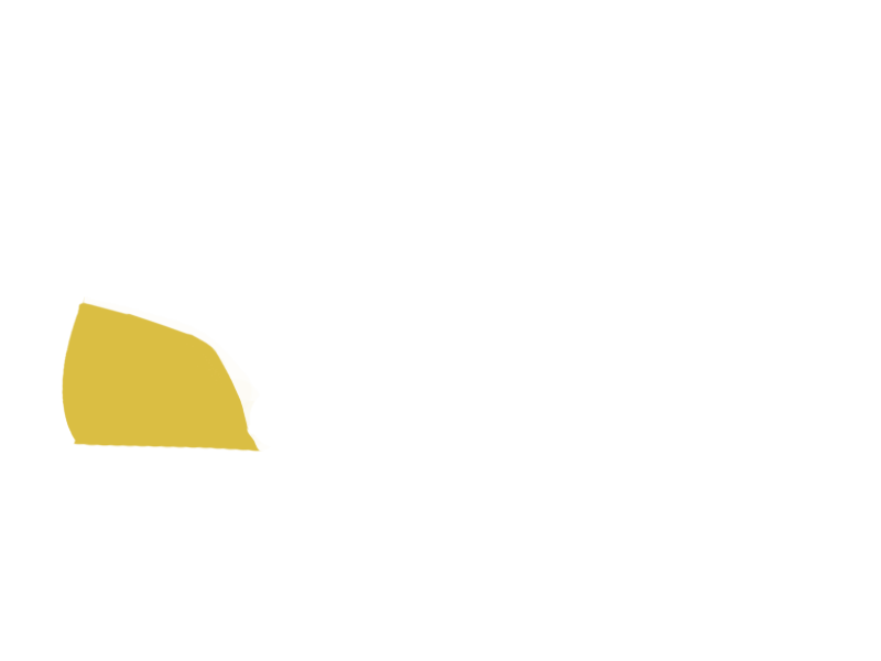 CANARY LEATHER