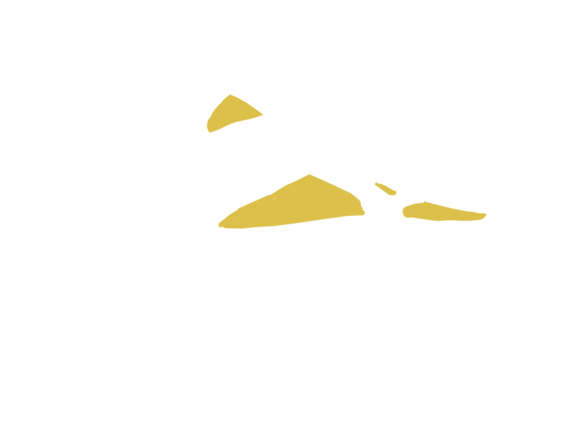 CANARY LEATHER