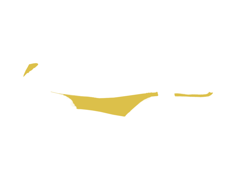 CANARY LEATHER