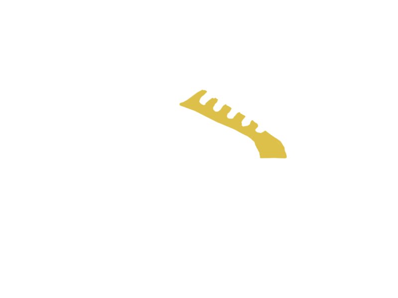 CANARY LEATHER
