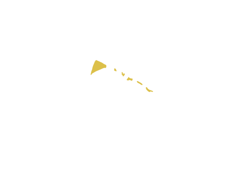 CANARY LEATHER