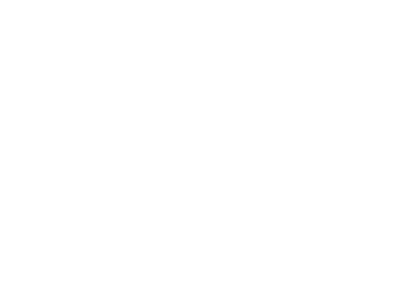 WHITE LEATHER