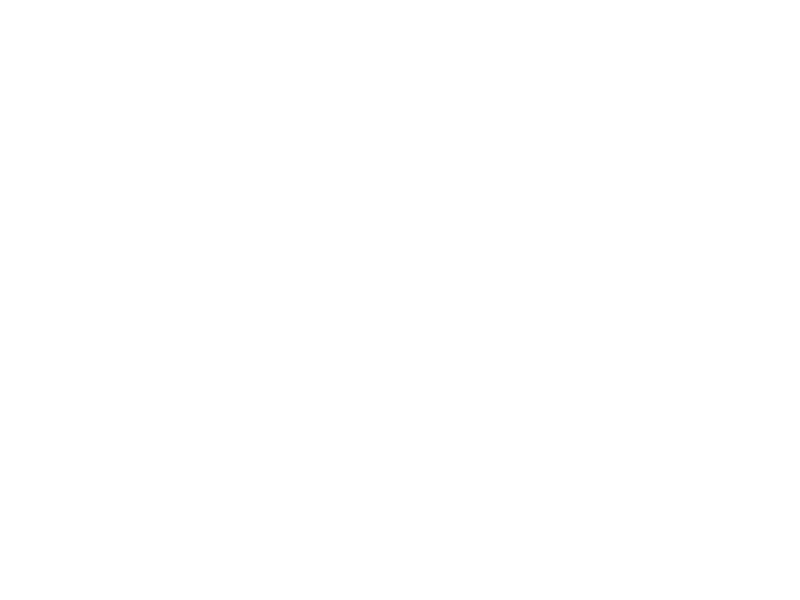 WHITE LEATHER