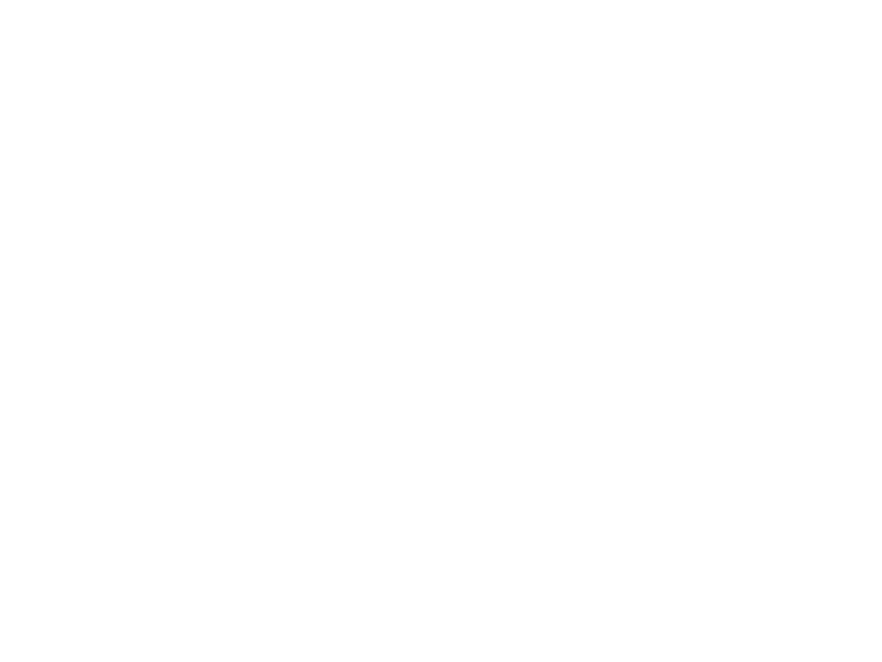 WHITE LEATHER