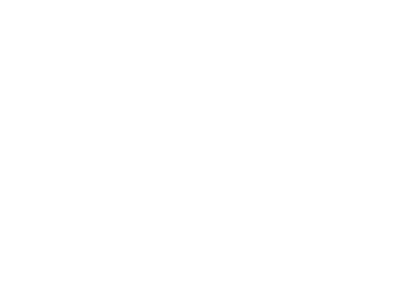 WHITE LEATHER