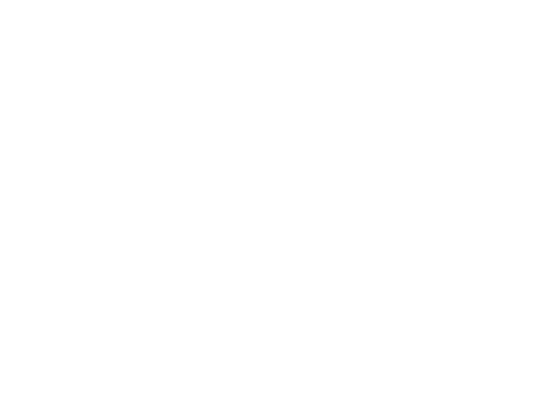 WHITE LEATHER