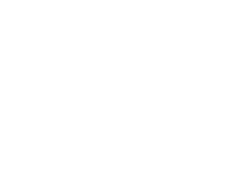 WHITE LEATHER