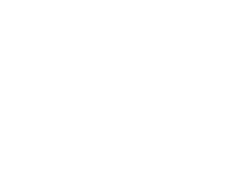 WHITE LEATHER