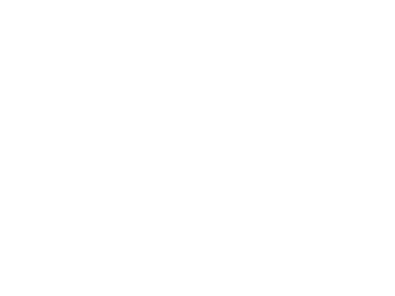 WHITE LEATHER