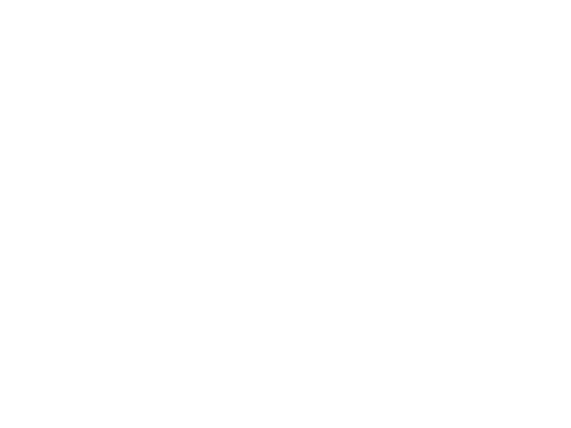 WHITE LEATHER