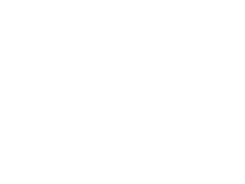 WHITE LEATHER
