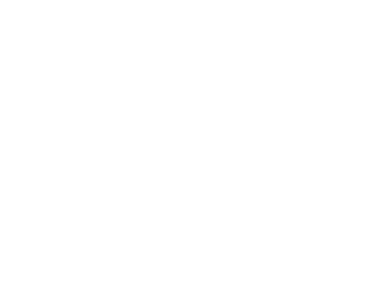 WHITE LEATHER