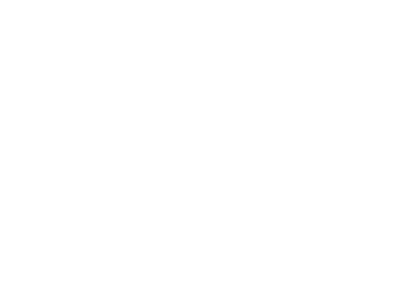 WHITE LEATHER