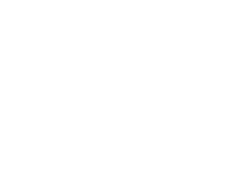 WHITE LEATHER