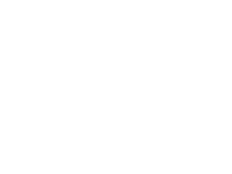 WHITE LEATHER