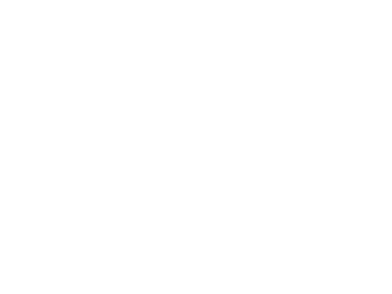 WHITE LEATHER