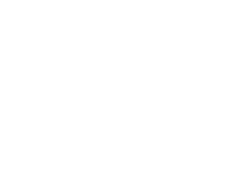 WHITE LEATHER