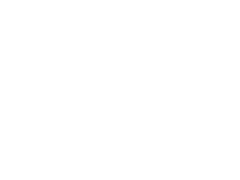 WHITE LEATHER