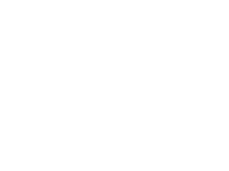 WHITE LEATHER