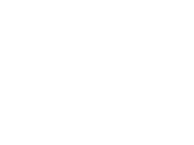WHITE LEATHER