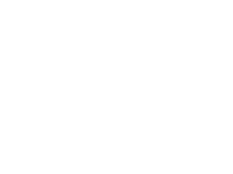 WHITE LEATHER