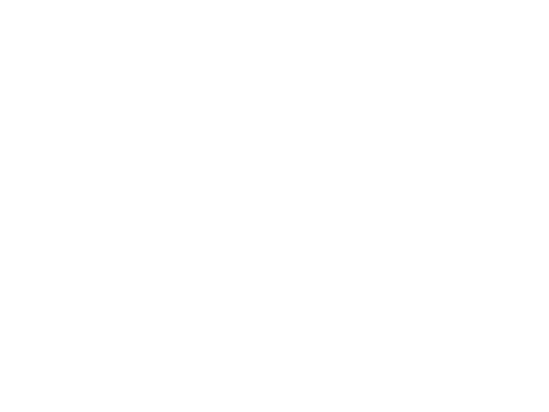 WHITE LEATHER