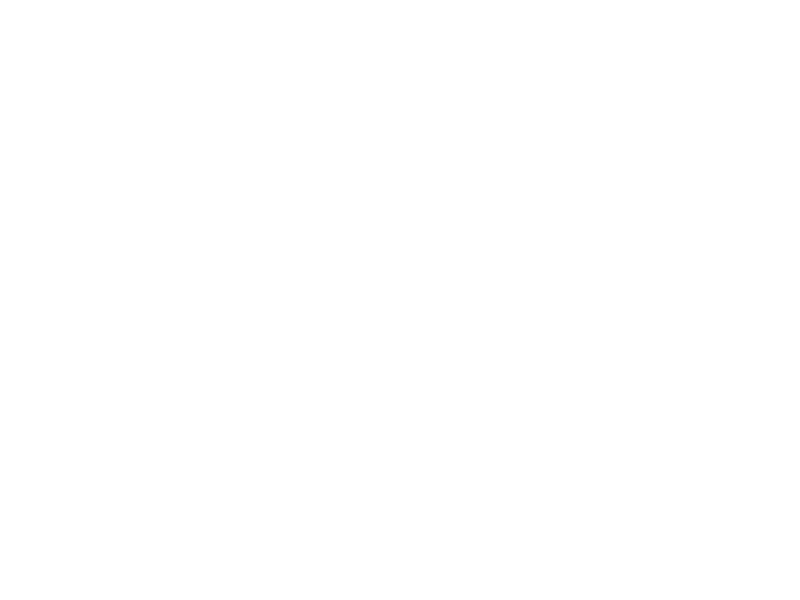 WHITE LEATHER