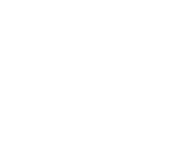 WHITE LEATHER