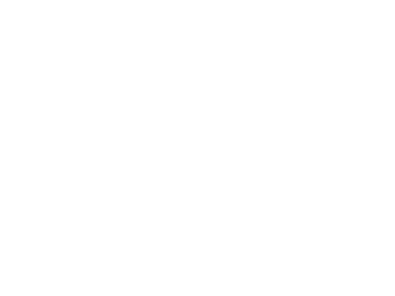 WHITE LEATHER