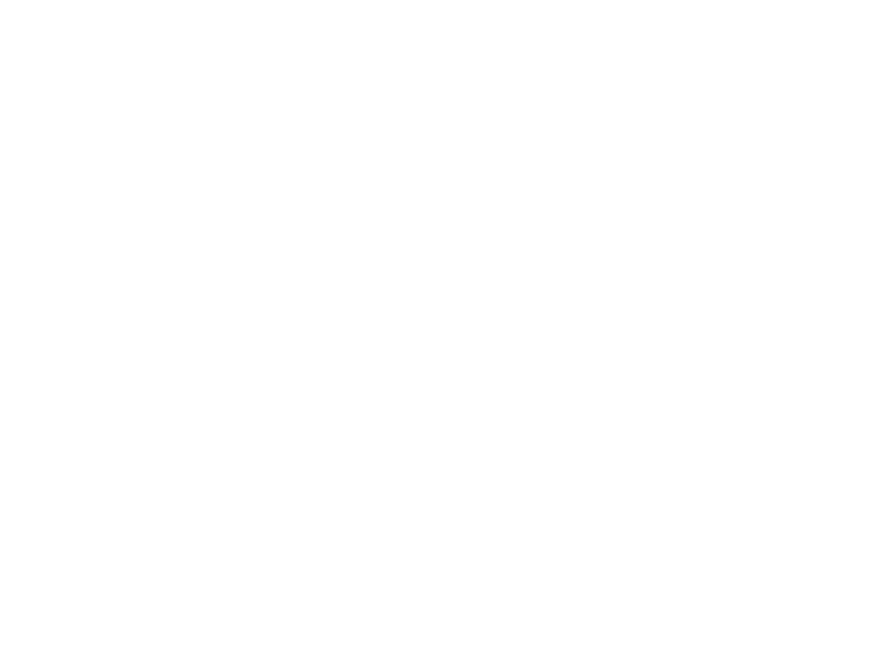 WHITE LEATHER