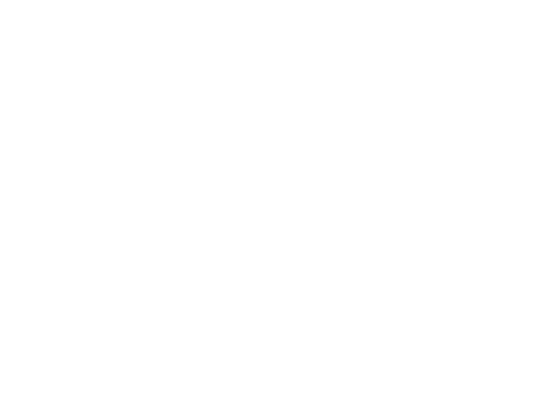 WHITE LEATHER