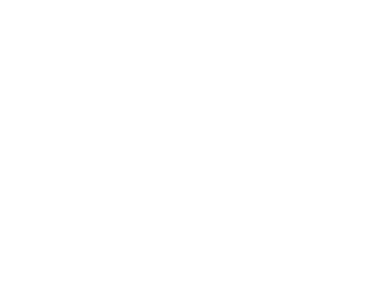WHITE LEATHER