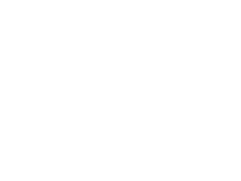 WHITE LEATHER