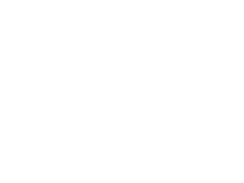 WHITE LEATHER