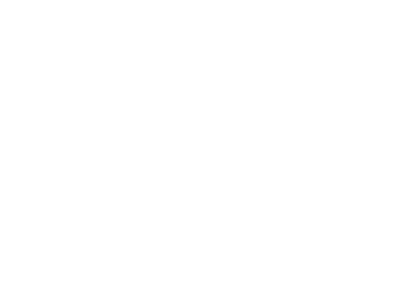WHITE LEATHER