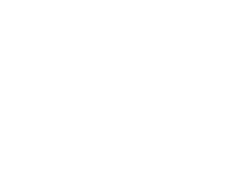 WHITE LEATHER