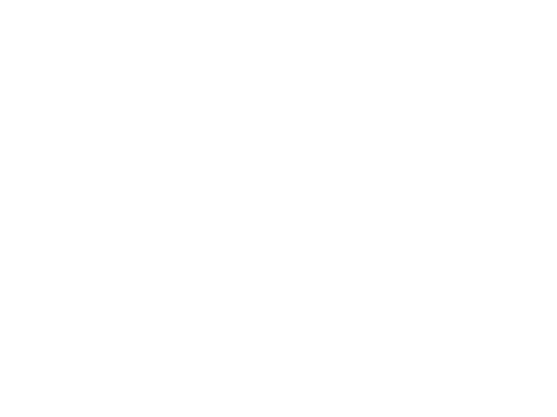 WHITE LEATHER