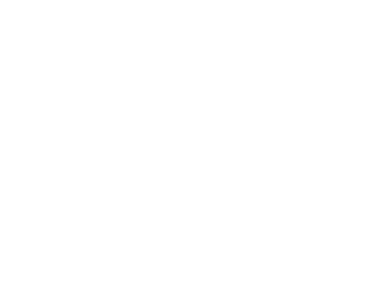 WHITE LEATHER