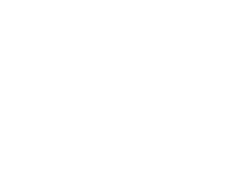 WHITE LEATHER
